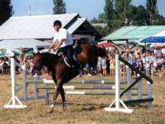 IX. Bakonyi Betyárnapok