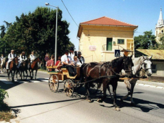 IX. Bakonyi Betyárnapok