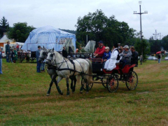 IX. Bakonyi Betyárnapok