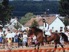 IX. Bakonyi Betyárnapok
