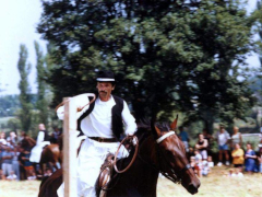 IX. Bakonyi Betyárnapok