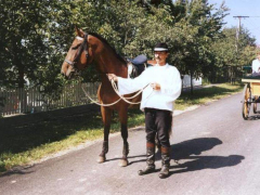 IX. Bakonyi Betyárnapok