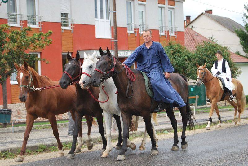 XII. Bakonyi Betyárnapok