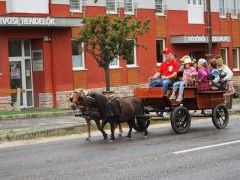 XII. Bakonyi Betyárnapok