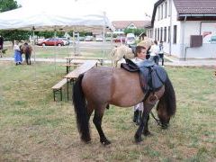 XV. Bakonyi Betyárnapok