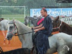 XVII. Bakonyi Betyárnapok