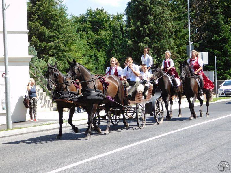 XVIII. Bakonyi Betyárnapok