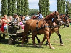 XVIII. Bakonyi Betyárnapok