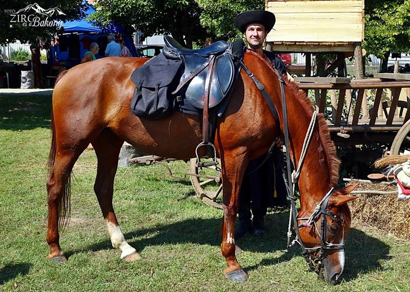 XX. Bakonyi Betyárnapok